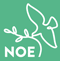 TV Noe