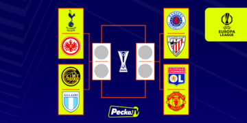 pavouk_liga