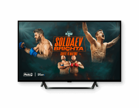 KSW 108: Soldaew vs. Brichta