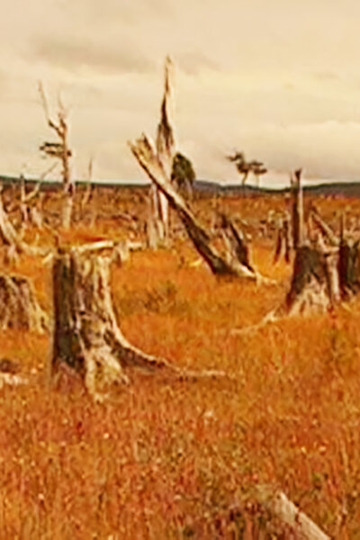 Apokalypsa a konec světa