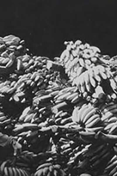 Banánová republika