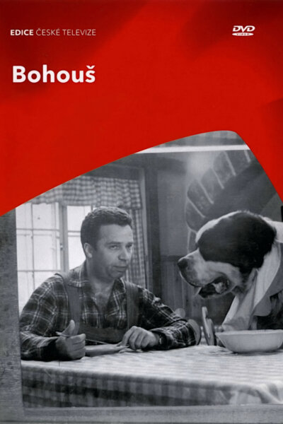 Bohouš