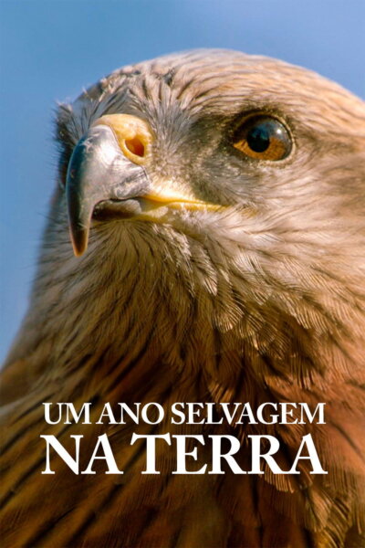 Bouřlivý rok na Zemi