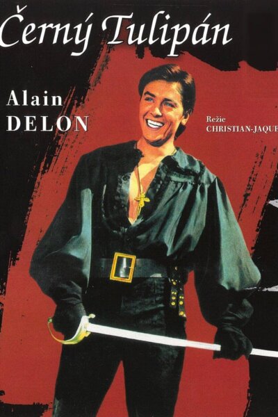 Černý tulipán