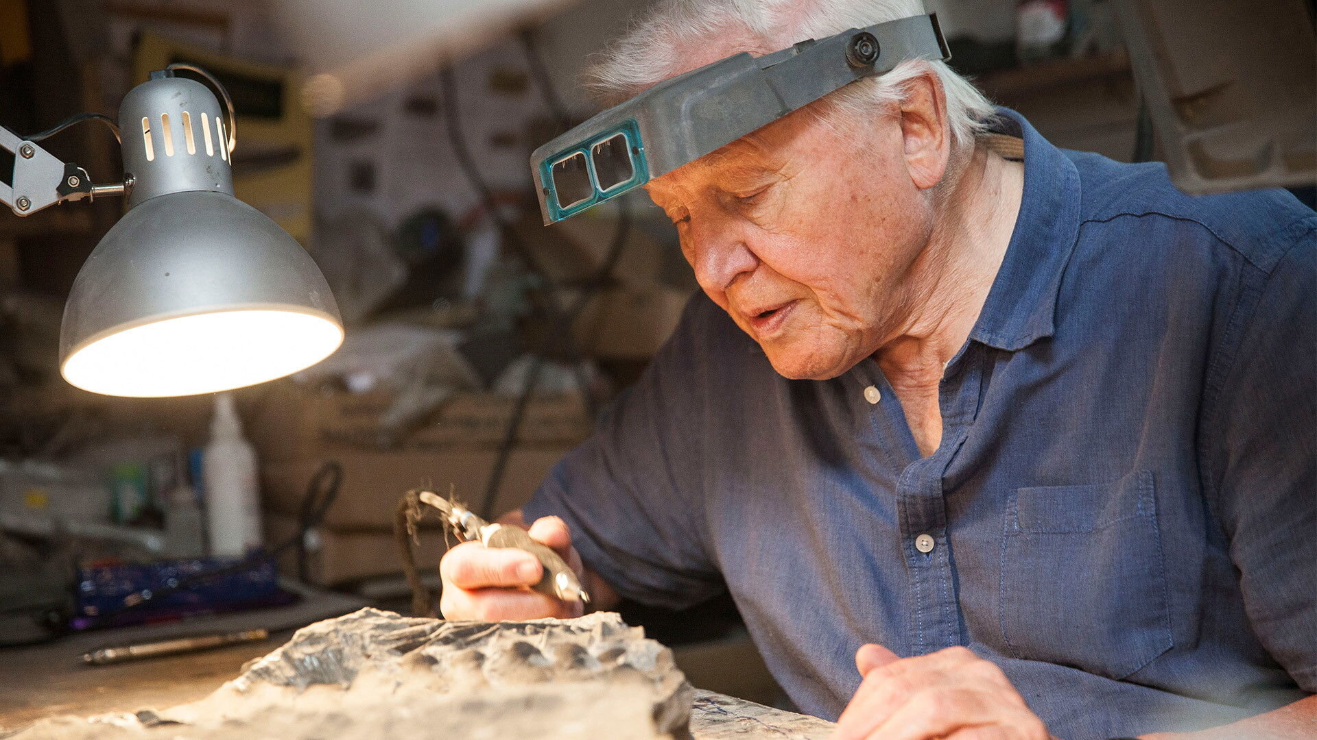 David Attenborough a mořský drak