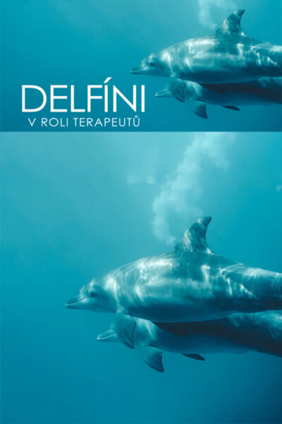 Delfíni v roli terapeutů