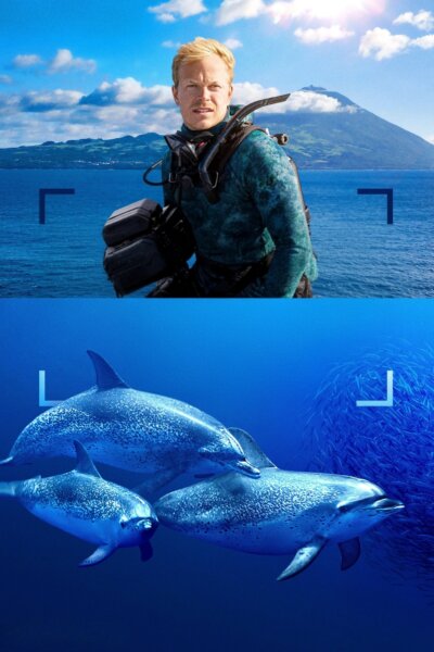 Delfíni zblízka s Bertiem Gregorym