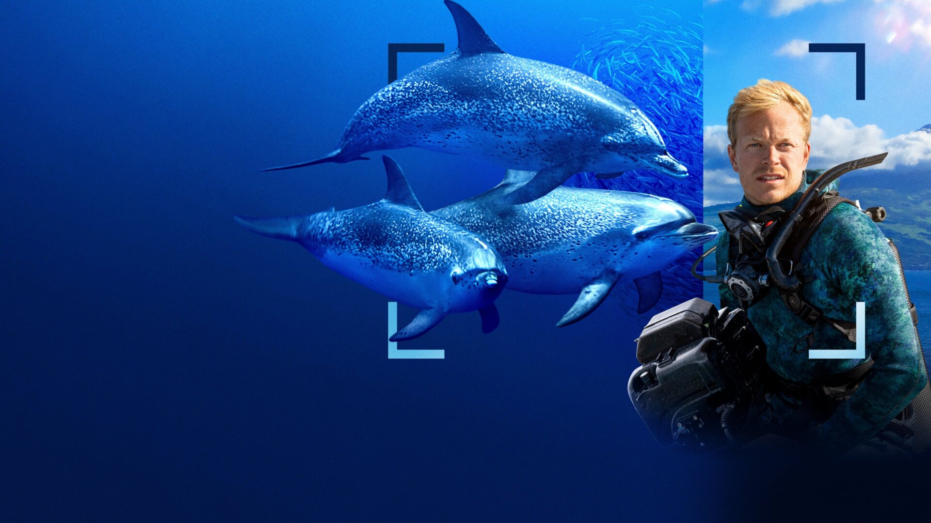 Delfíni zblízka s Bertiem Gregorym