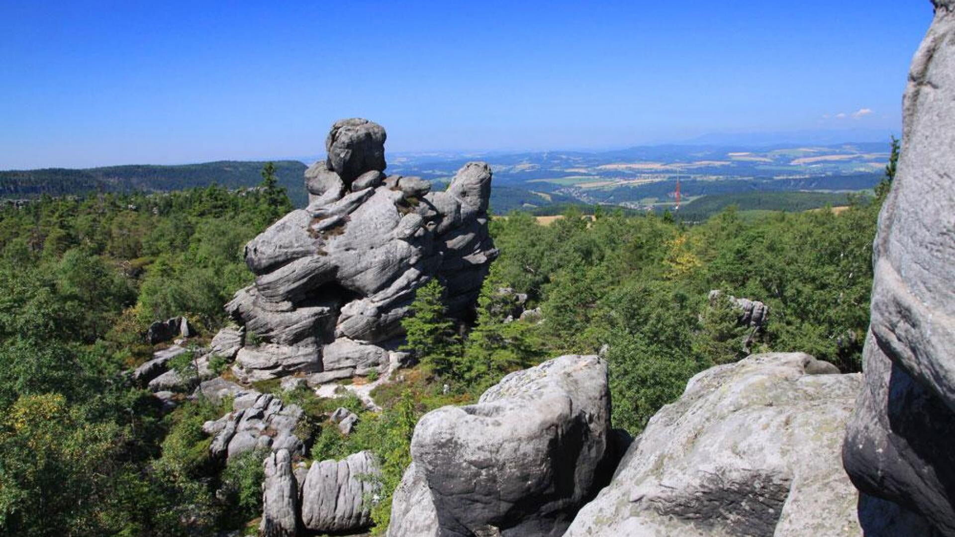 Divočina bez hranic