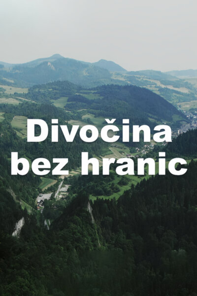 Divočina bez hranic