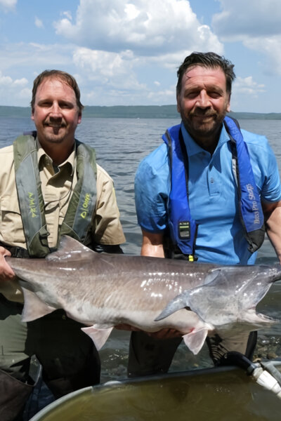 Dobrodružná Mississippi