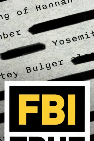 FBI - Agenti řeší případy