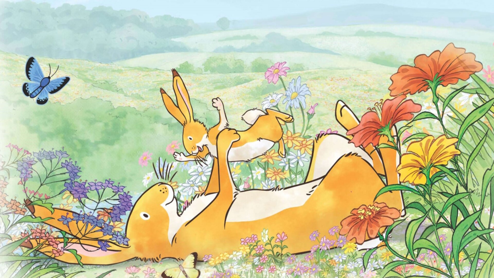 Hádej, jak moc tě mám rád