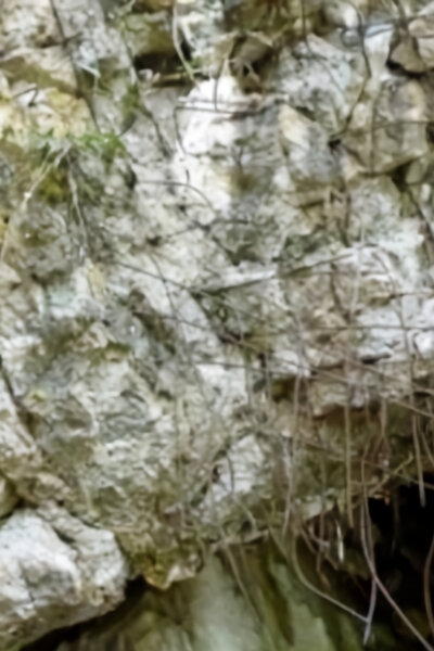 Hitlerovo Vlčí doupě