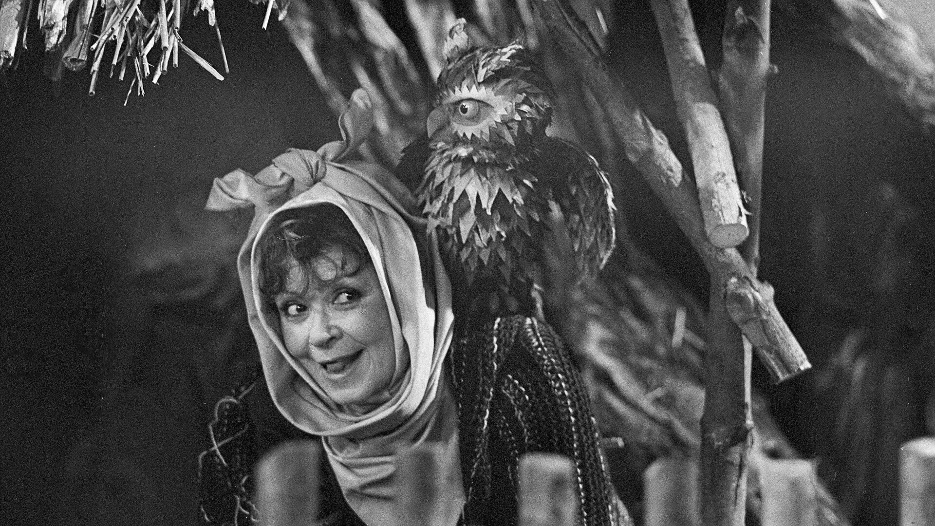 Jak se peče štěstí