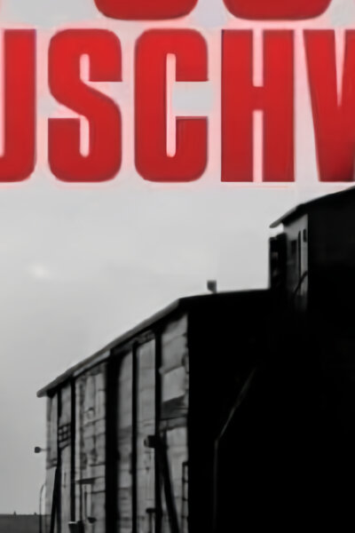 Jeden den v Osvětimi