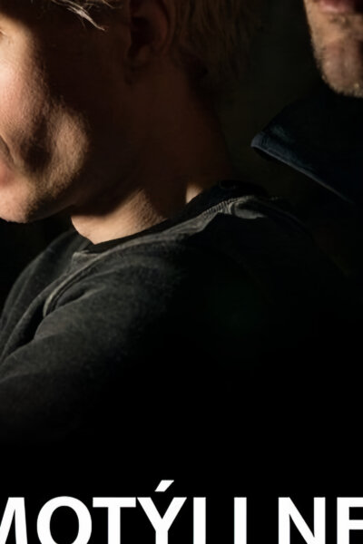 Kam motýli nelétají