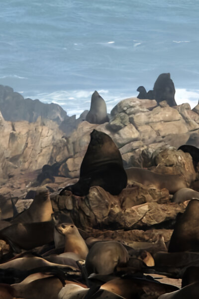 Království afrických predátorů