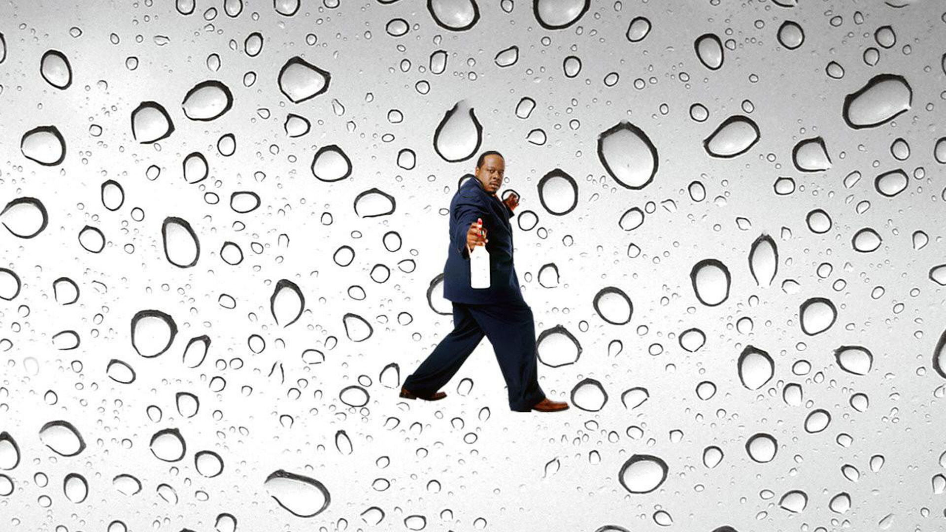 Krycí jméno: Čistič