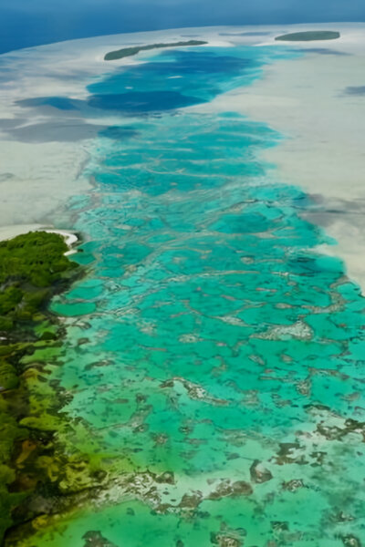 Magický svět útesu