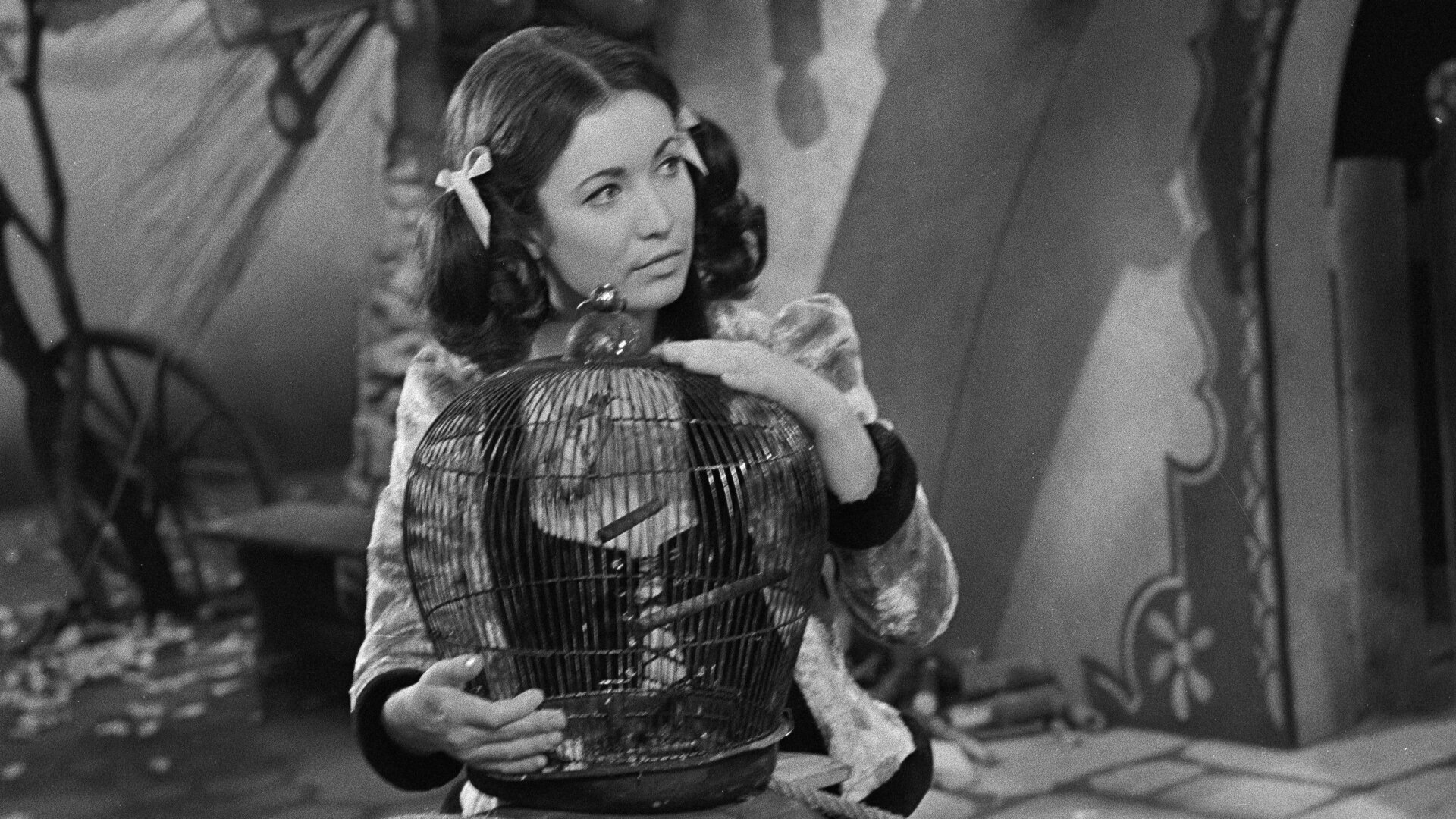 Nejsem chmýrko na bodláku