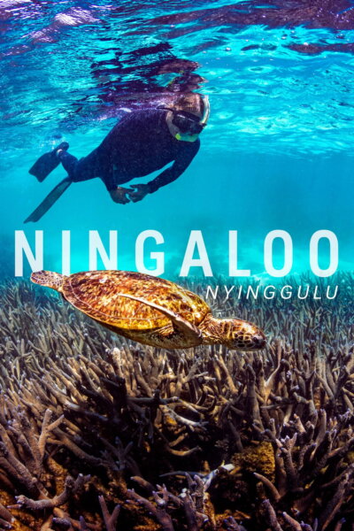 Ningaloo: Australský ráj