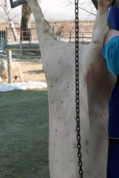 Nová zpráva z konce světa