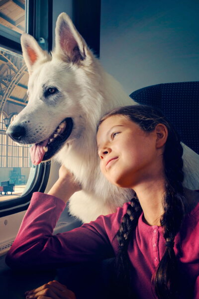 O psie, który jeździł koleją