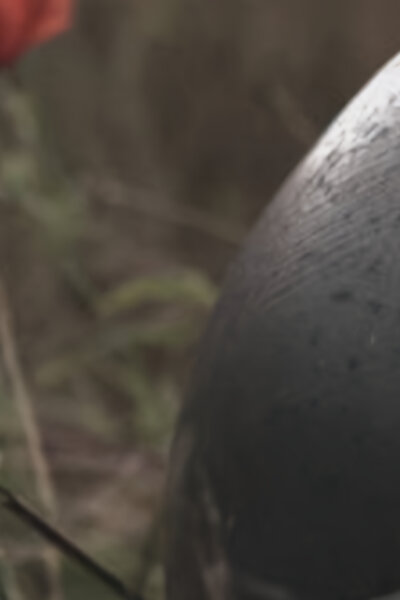 Počátky válečných vůdců