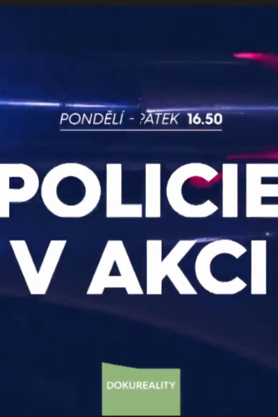 Policie v akci