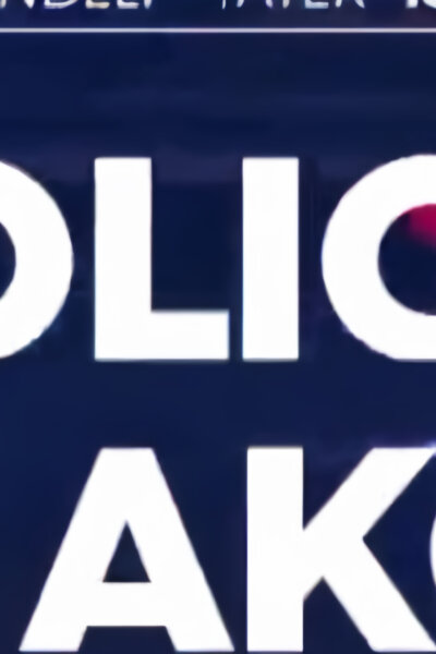 Policie v akci