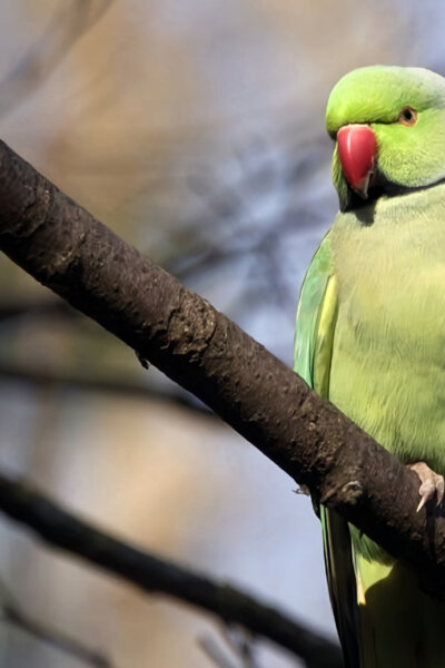 Pravda o vetřelcích