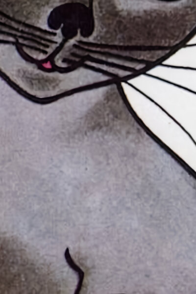 Příběhy kocoura Modroočka