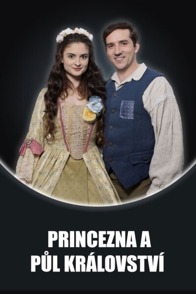 Princezna a půl království