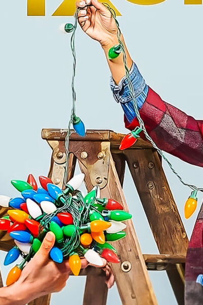 Romance v Bell Harbor