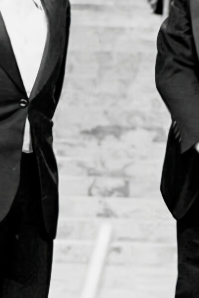 Silvestr hravý a dravý