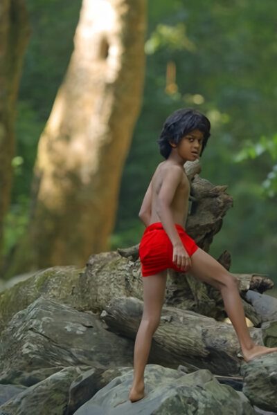 Skutečná kniha džungle