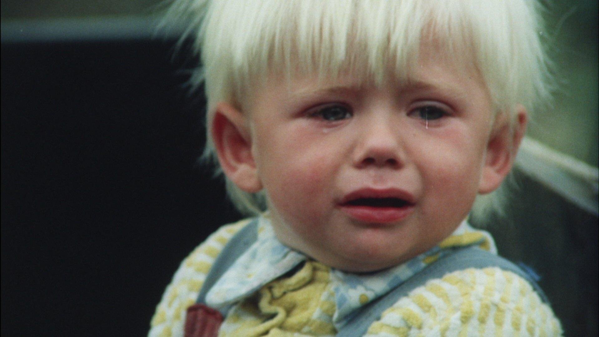 Slavnosti sněženek