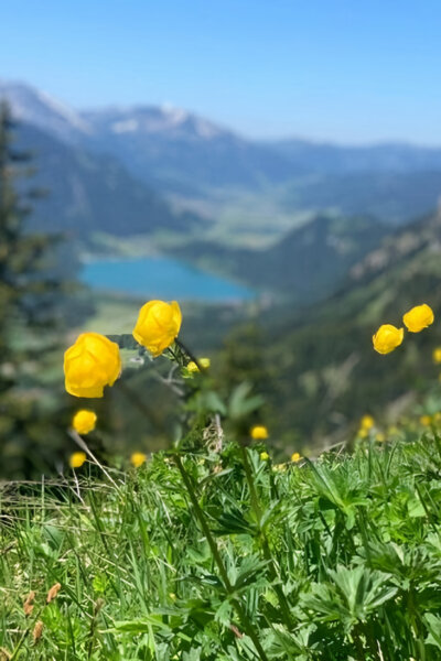 Tannheimské údolí: Alpský klenot