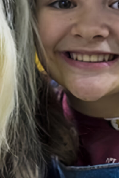 Terčin zvířecí svět