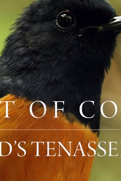 Thajsko – pohoří Tenasserim a prales plný barev