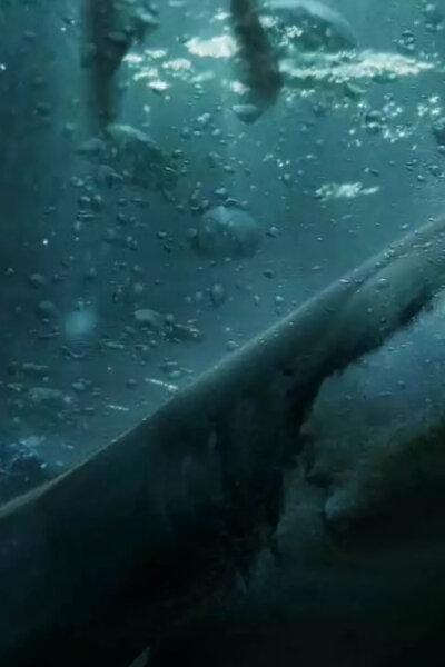 Útes smrti: V pasci