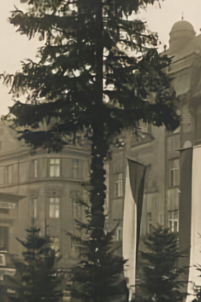 Vánoční strom republiky