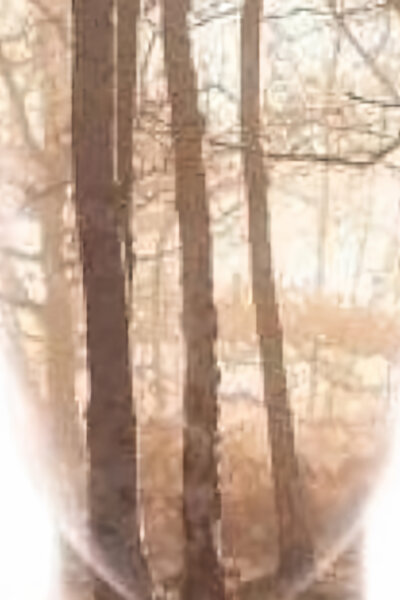 Vražda, která změnila Británii