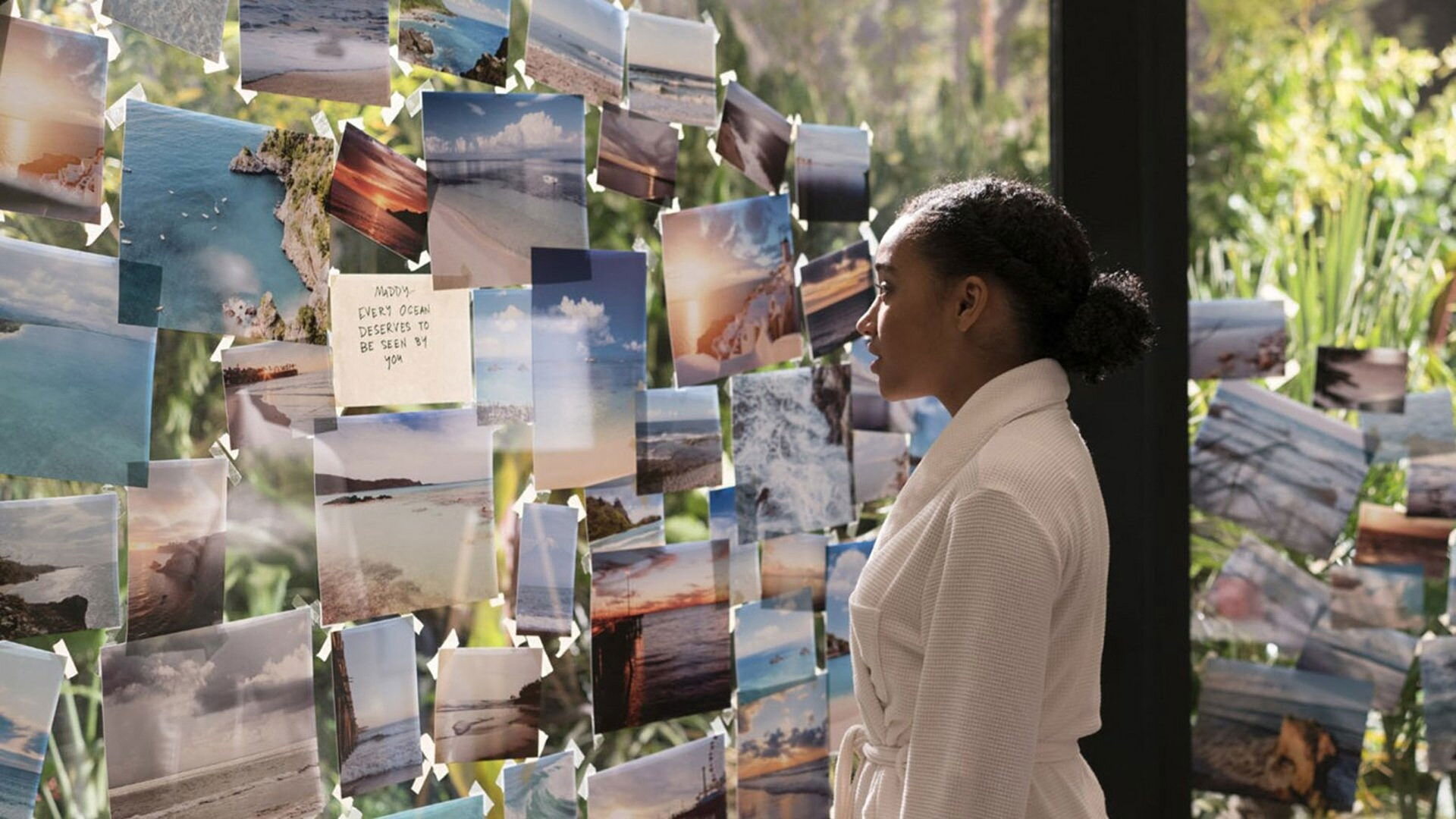 Všechno úplně všechno