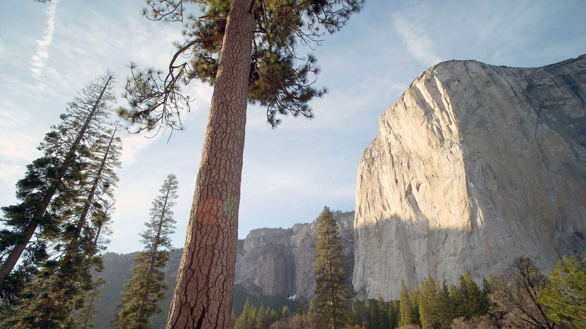 Začalo to v Yellowstonu – národní parky USA a jejich příroda