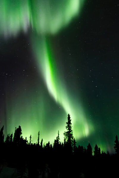 Začalo to v Yellowstonu – národní parky USA a jejich příroda