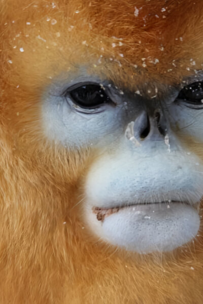 Zimní říše divů