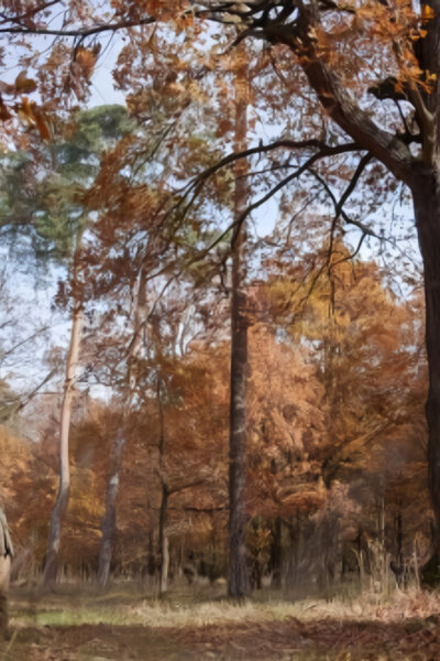 Zpátky do přírody