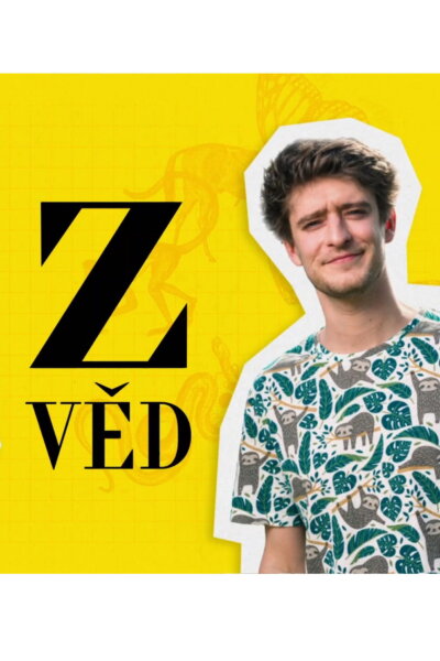 Zvěd
